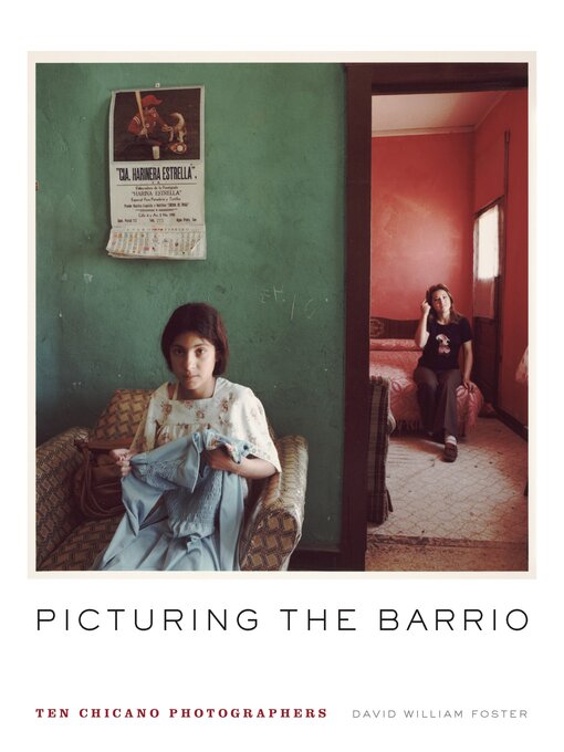Title details for Picturing the Barrio by David William Foster - Available